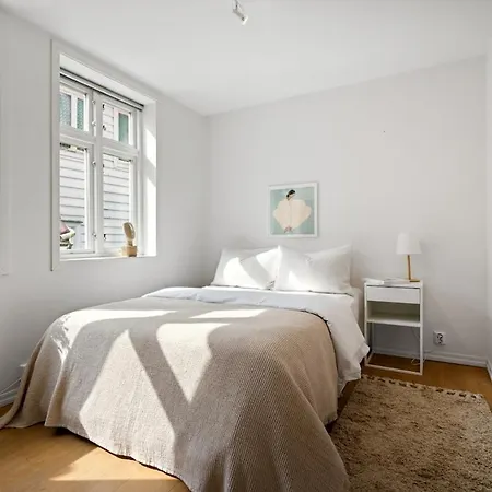 Modern Near Bryggen - Classic Architecture *